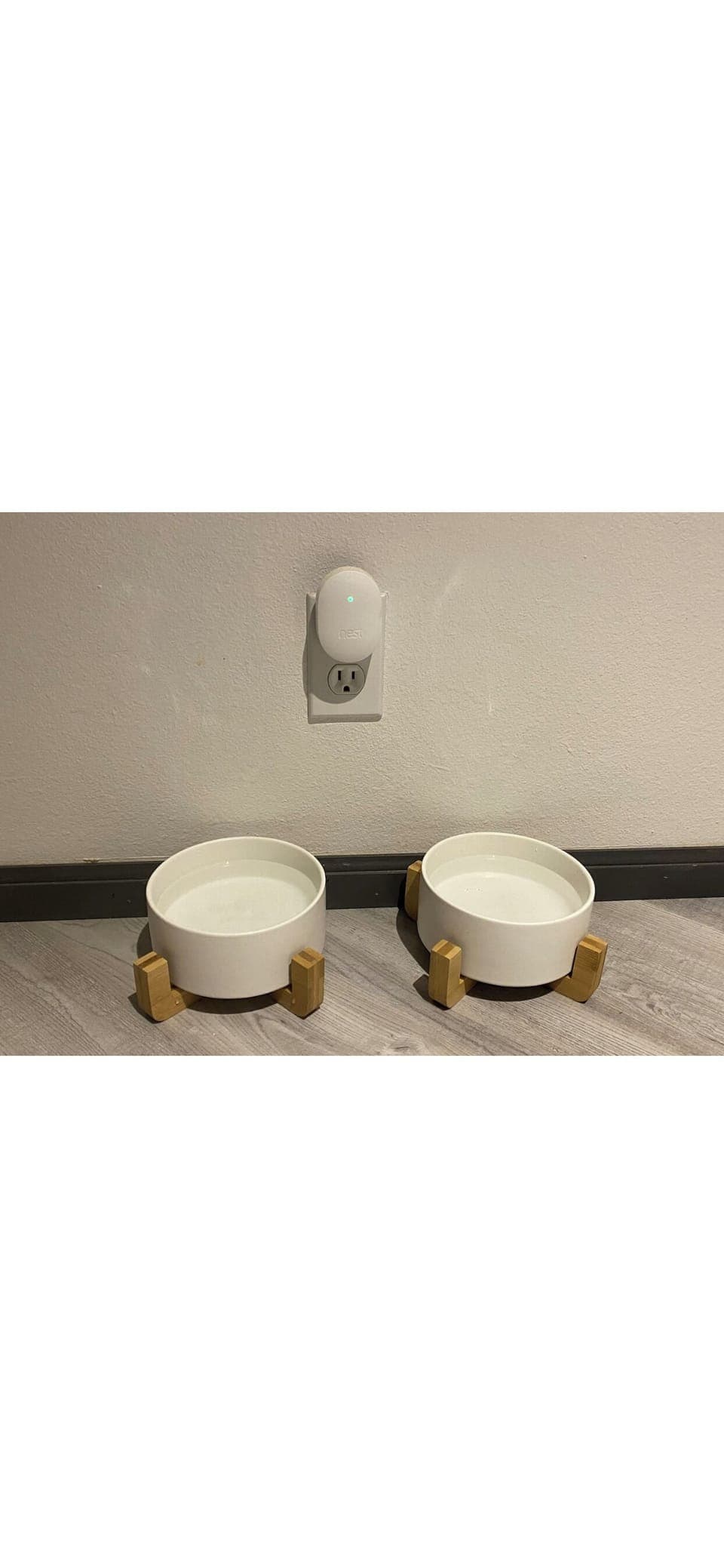 Dedicated dog dishes in kitchen