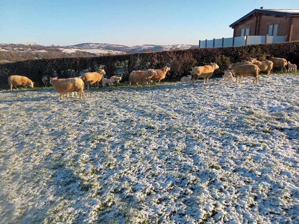 Surrounding area | Scarlett Lodge, Dolwen, near Abergele