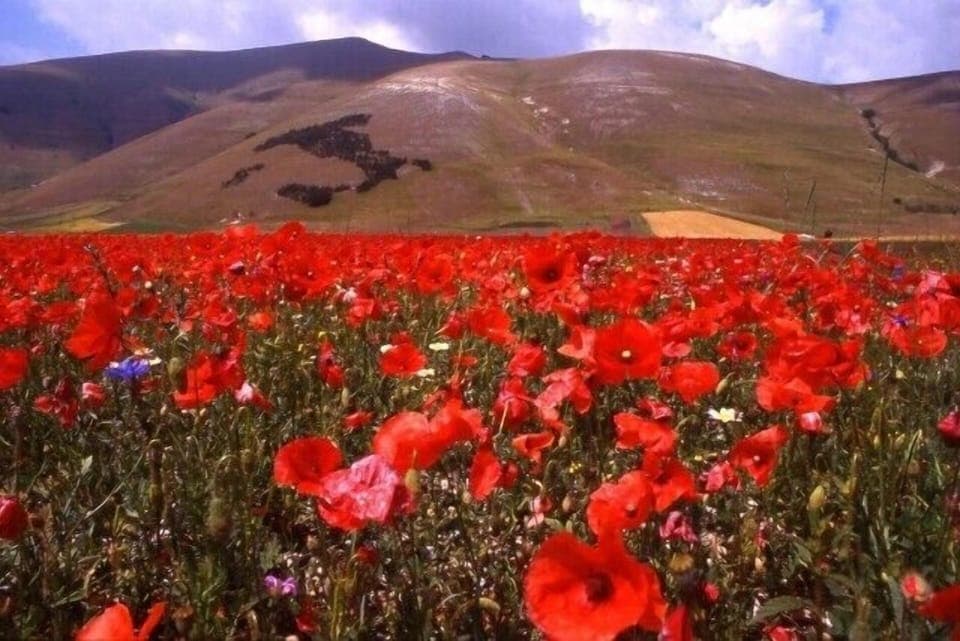 Castelluccio