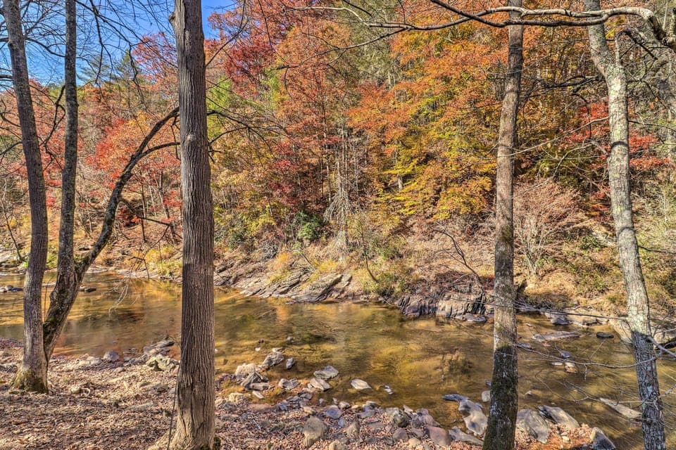 Private Side Yard I Outdoor Space for Play and Games