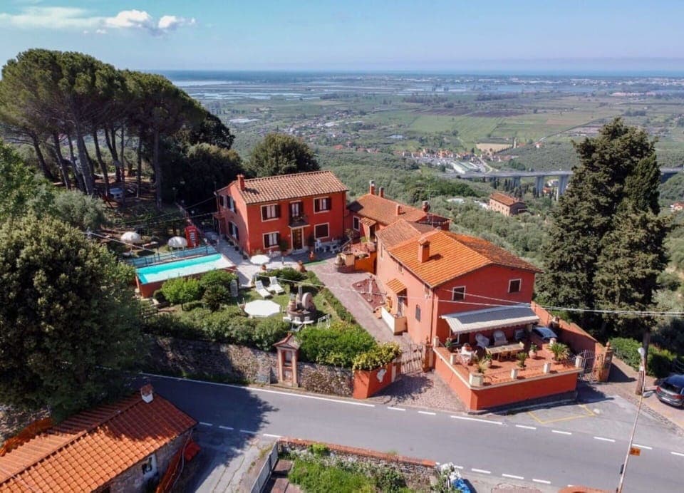 Garden, Outdoor, Pool