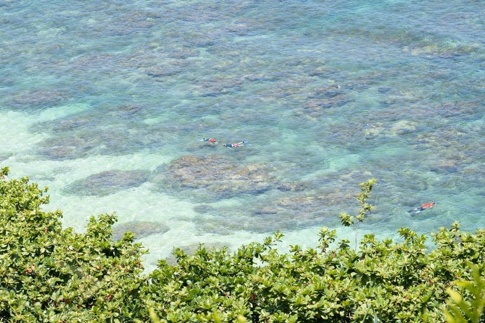 View looking down from the edge of the lawn at people snorkeling at Hideaway's