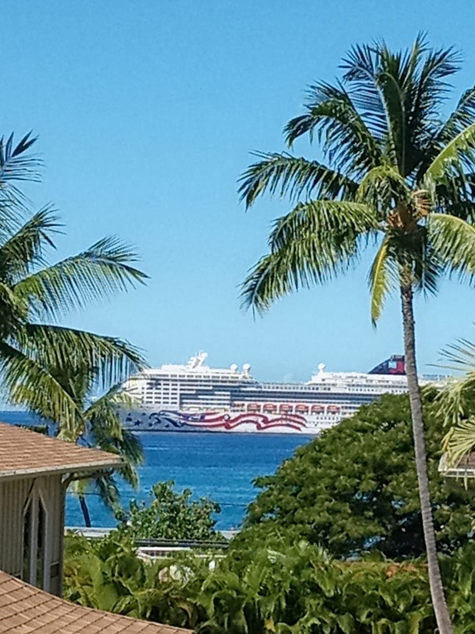 Every week the cruise ships arrive in Kona. The view is amazing from the Lanai!!