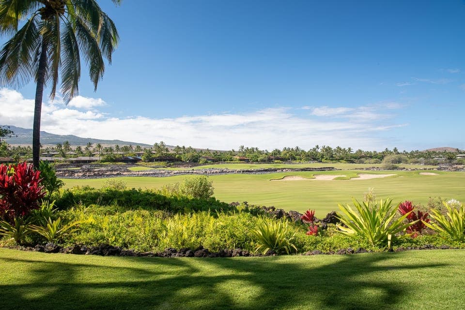 Incredible tropical landscaping and views