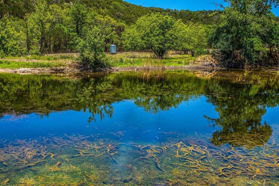 A convenient dock leads you right to the spring-fed pond on the property. It's a great spot for fishing, kayaking, and tubing!
