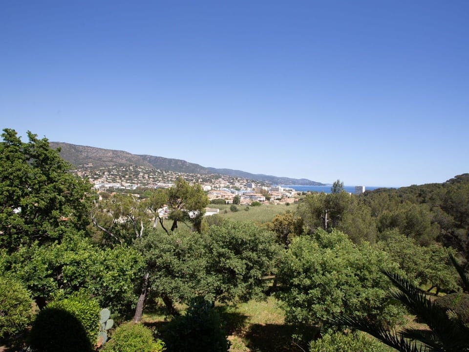 Sky, Plant, Plant Community, Mountain, Natural Landscape, Cloud, Tree, Landscape, Mountainous Landforms, Horizon