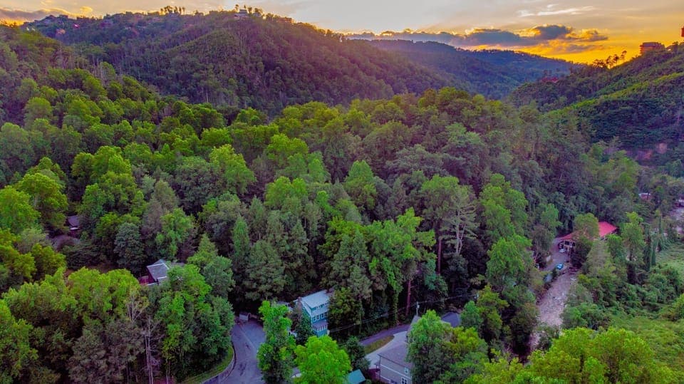 Look at the beautiful forest around the house!  And the river is right there!
