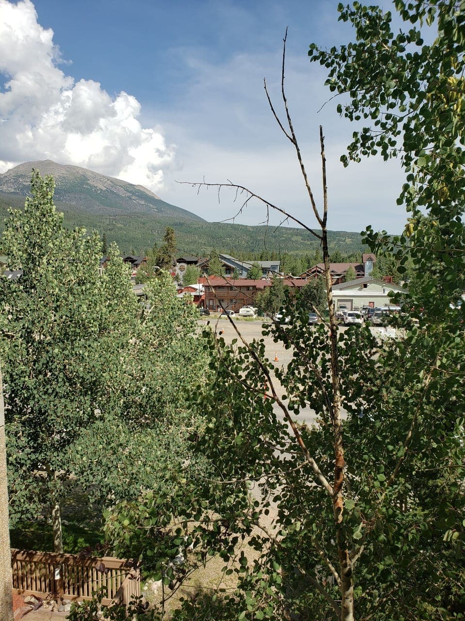 view out primary window