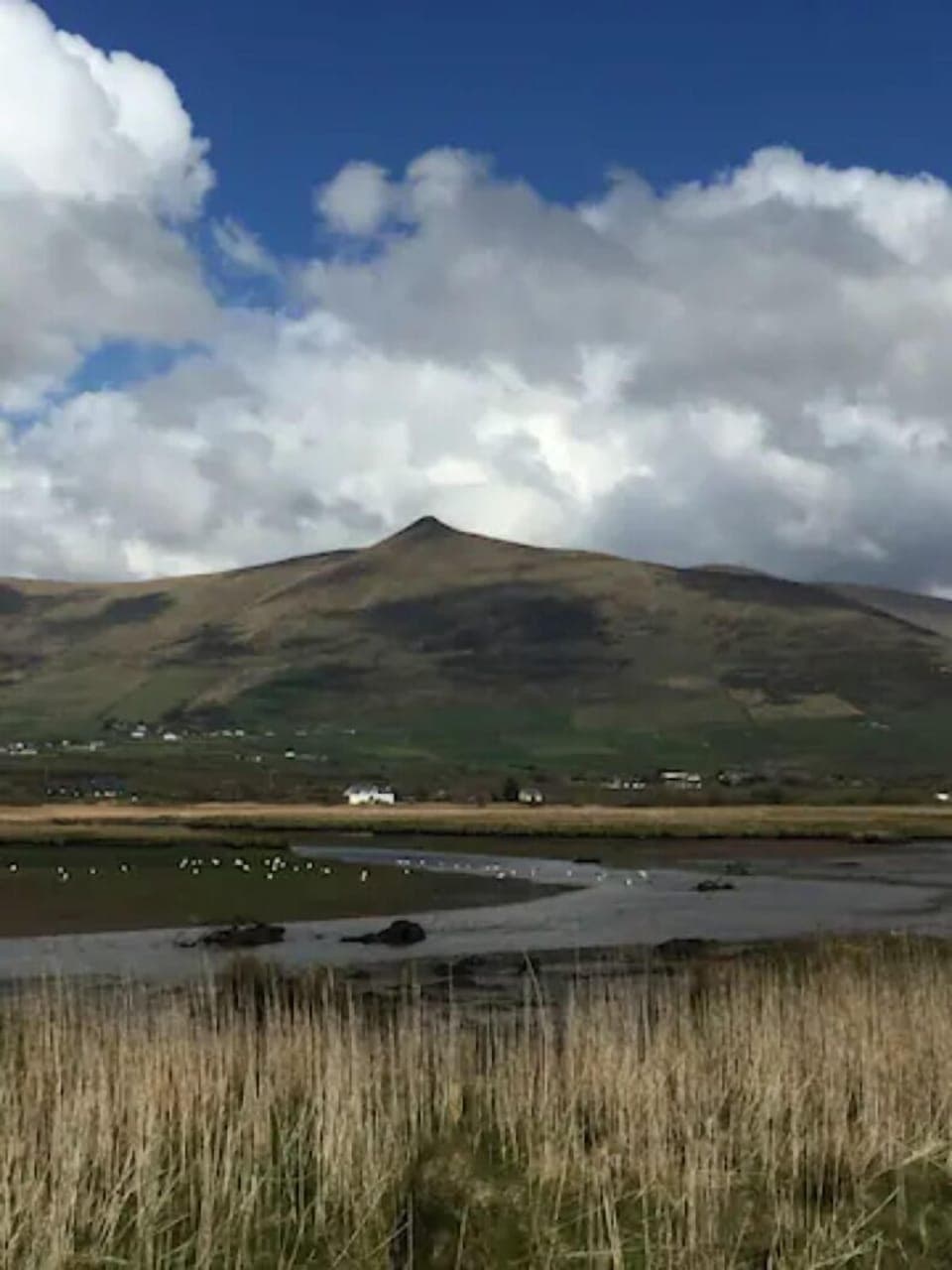 20 min walk from cottage for this view