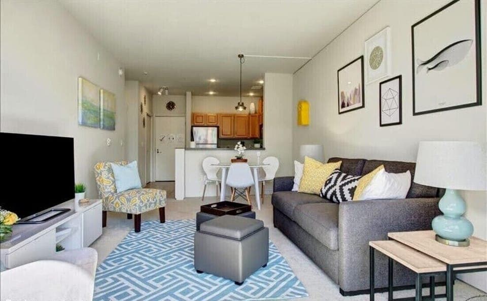 Bright living room with comfortable sofa bed. 