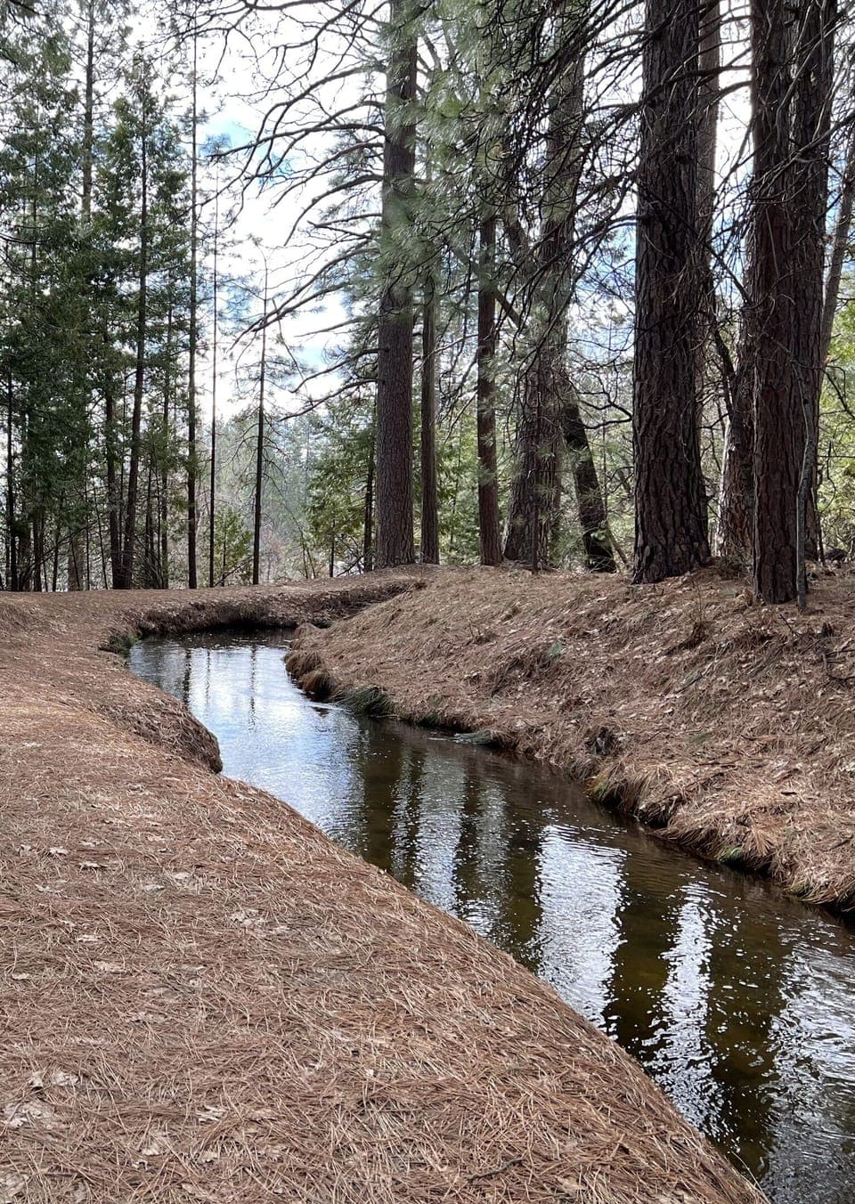 Beautiful hiking and biking nearby trails