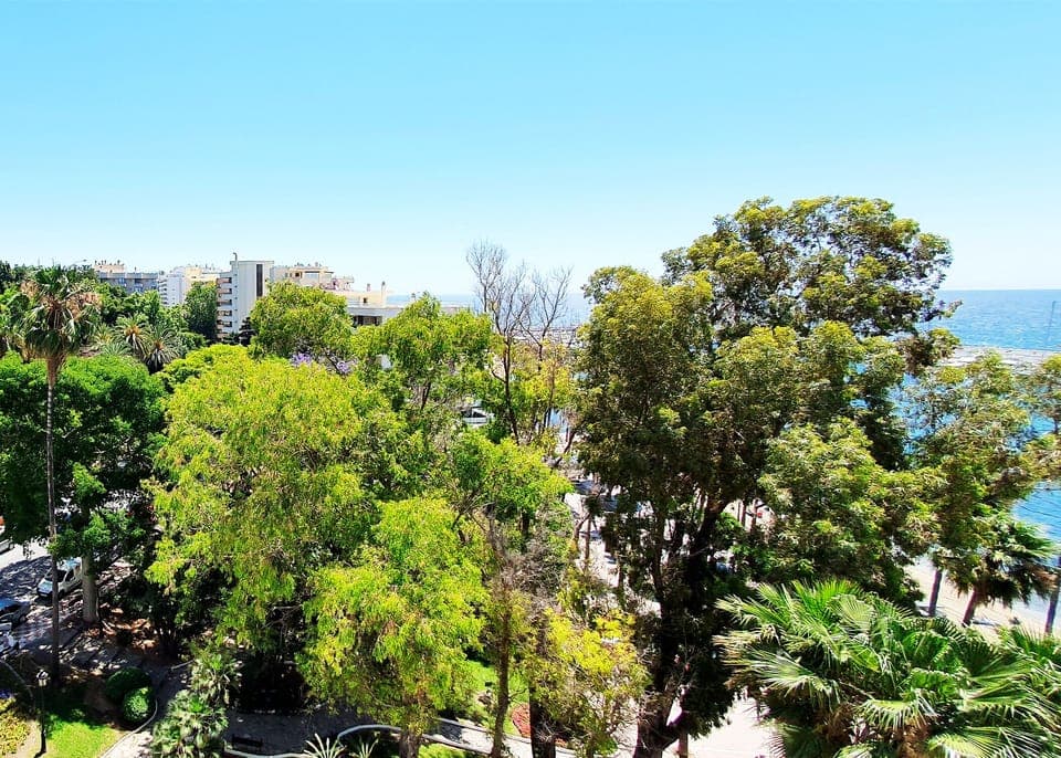 Views from the apartment