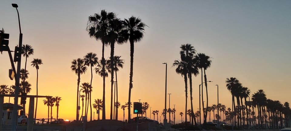 1.5 miles to the Beaches and Huge Park with views