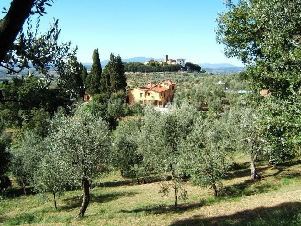Area that directly surrounds the property. Holiday House Podere Pilar