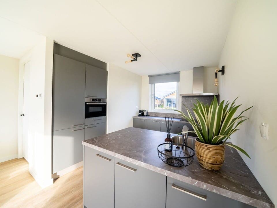 Cabinetry, Property, Countertop, Plant, Houseplant, Sink, Flowerpot, Lighting, Interior Design, Kitchen Sink