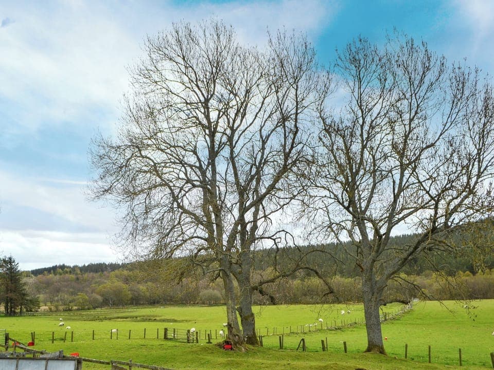 Surrounding area | Townhead Cottage, Harbottle