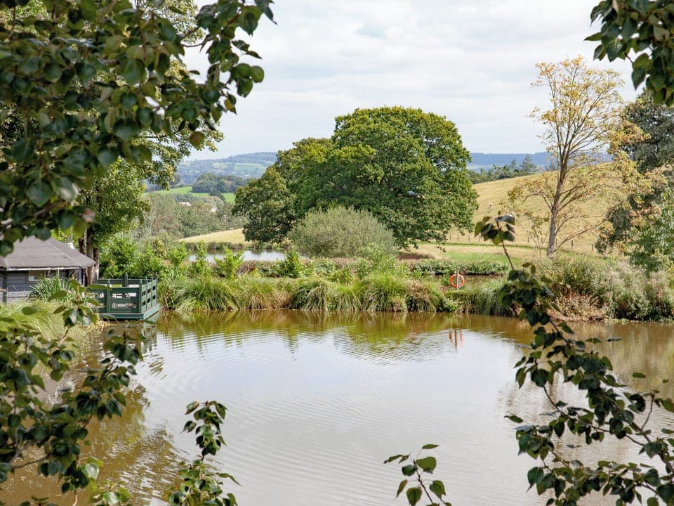 Setting | Coot Roundhouse - Ponsford Ponds, Knowle, near Cullompton