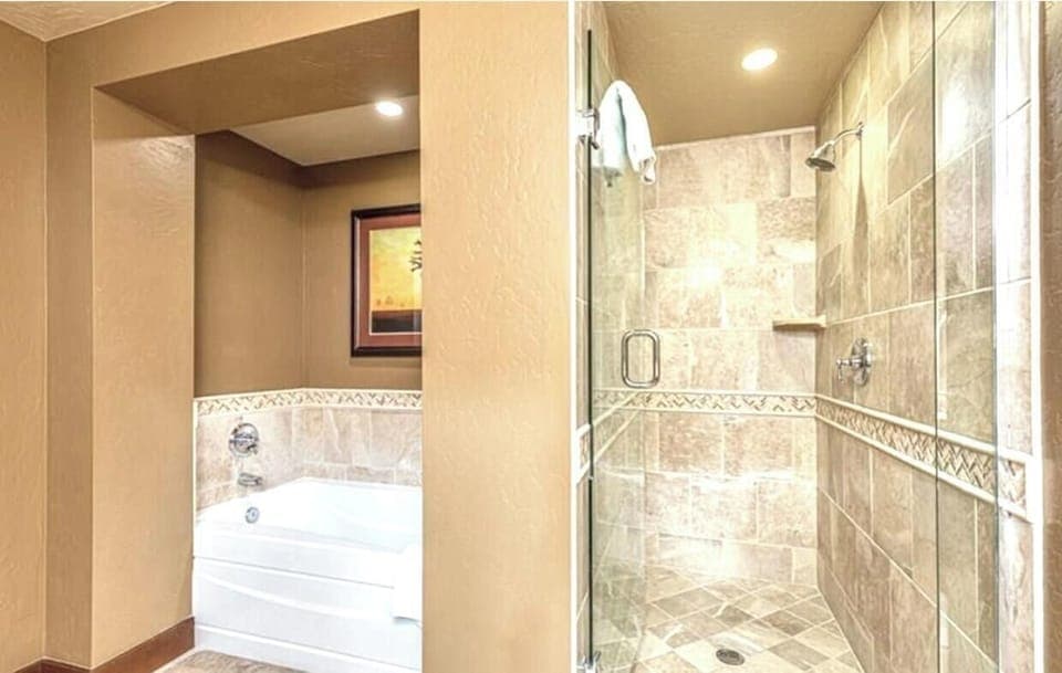 Master Shower/Tub