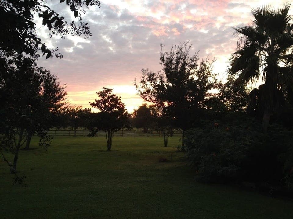 Evening at The Back 40.