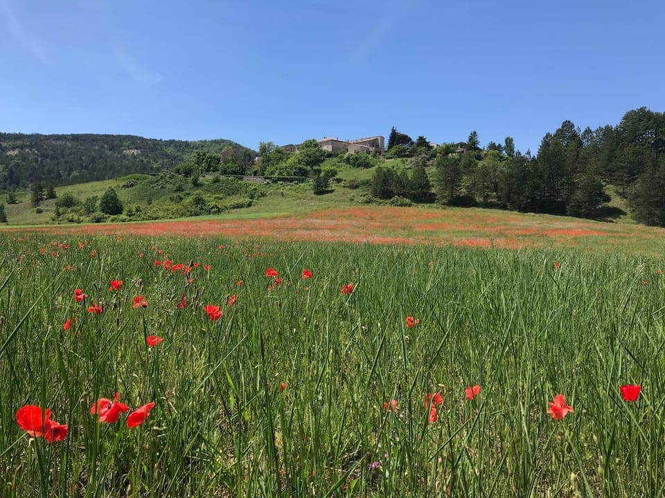 75db92ca-98b4-4f2e-bbed-4840db1c8596