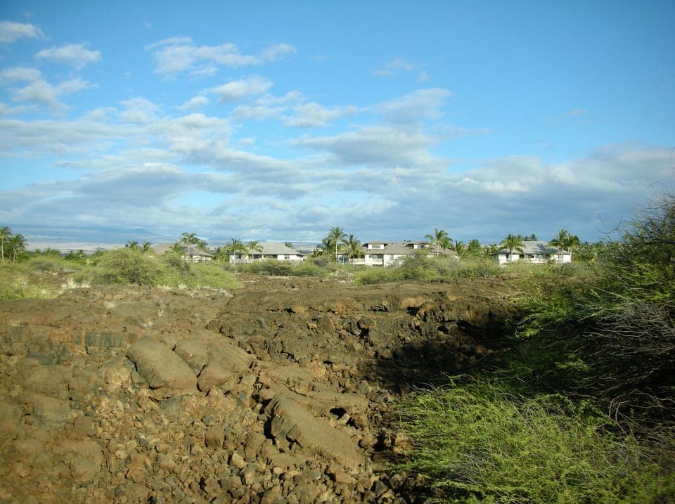 Trail through Nature Preserve adjacent to the Palm Villas