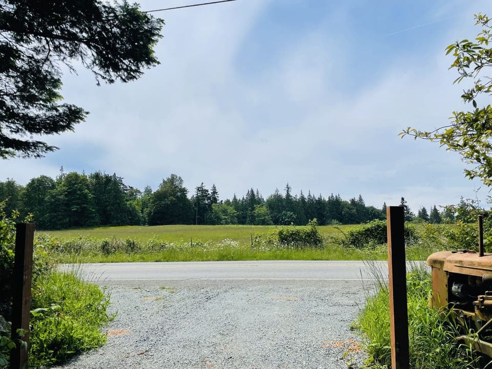  Pasture across the street -sometimes you see the cows.