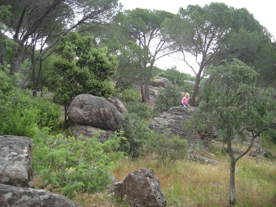 Back garden with beautiful rocks - great for hide and seek (1 hectare of garden)