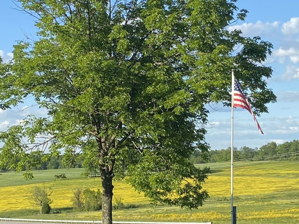 Nearby rural scenery 