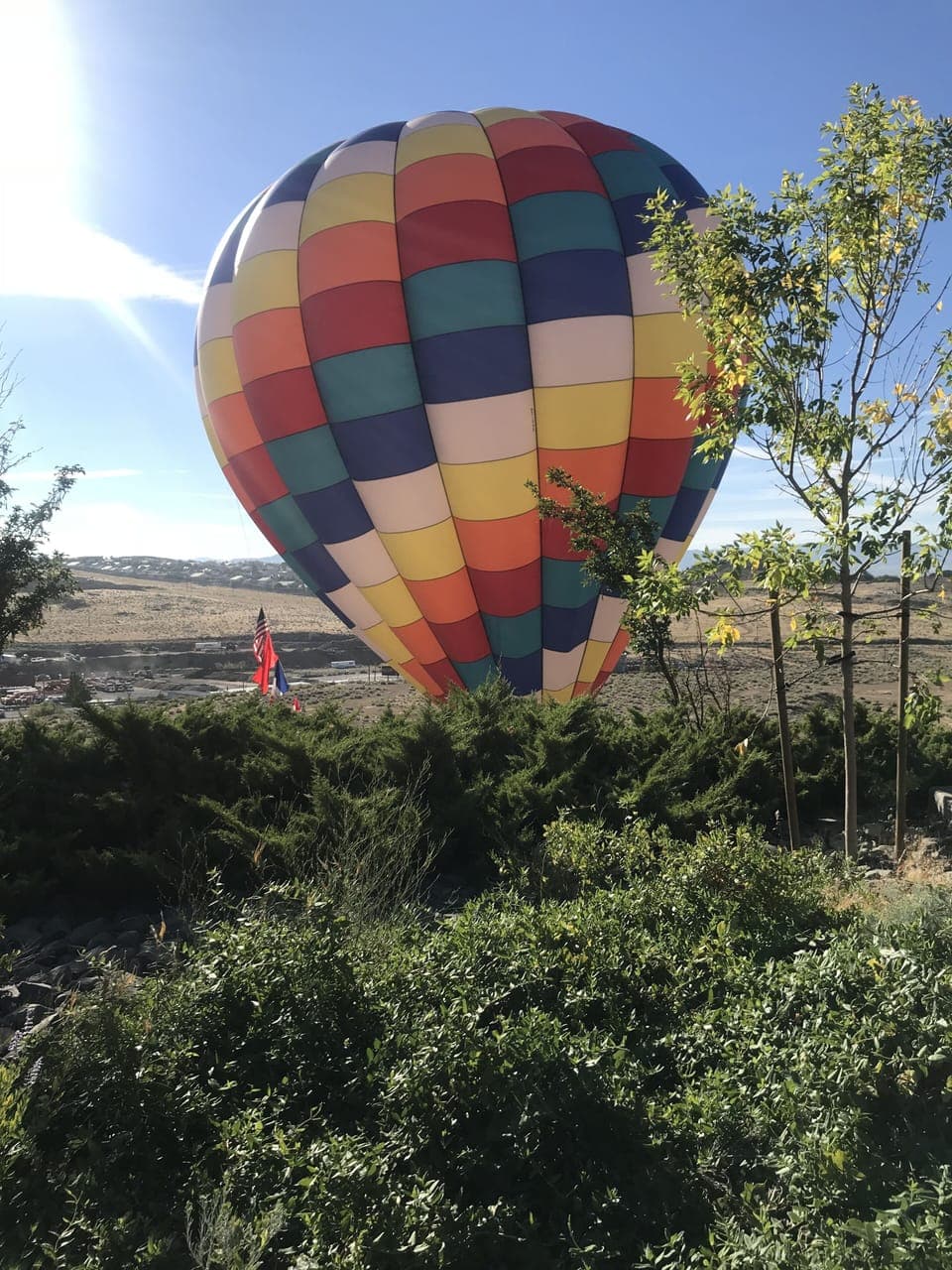 Balloons landing in the neighborhood 