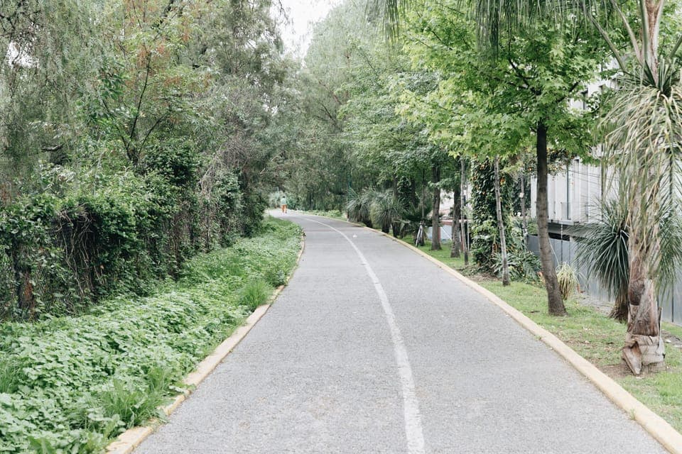 Bike Path Right in front of the property
