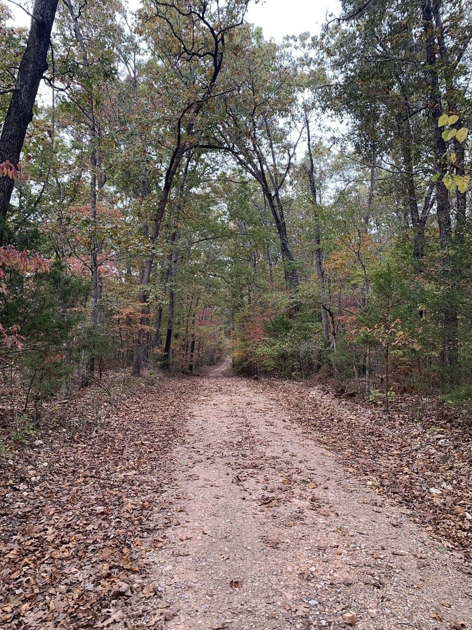 Even the drive in feels peaceful.