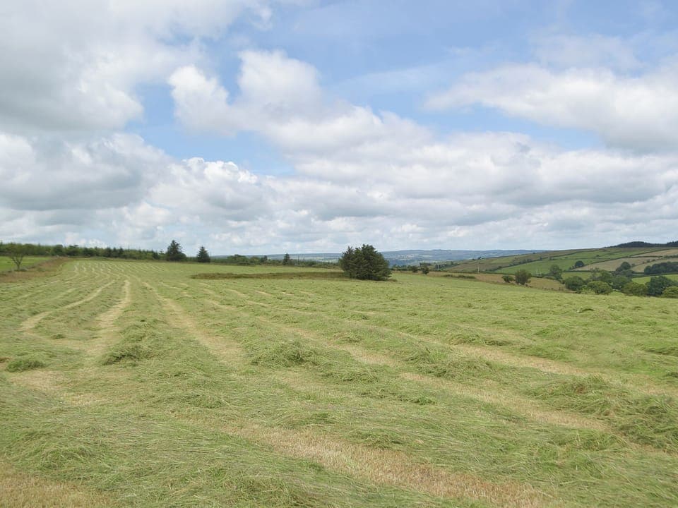 Surrounding area | Typicca Farmhouse, Brechfa