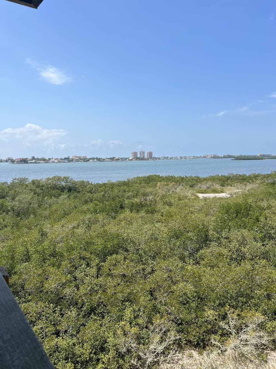 View from property