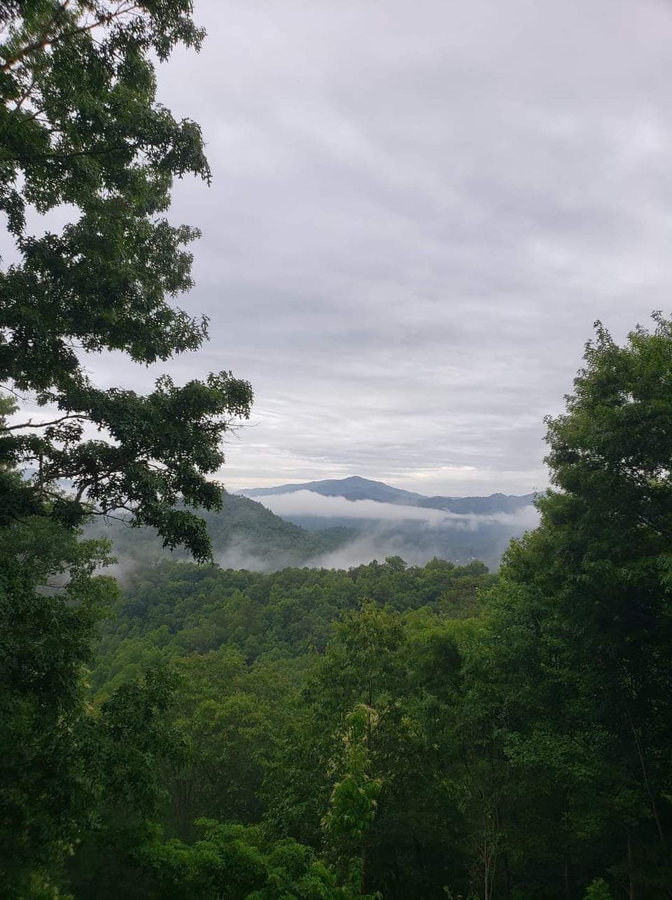 The view from the deck.