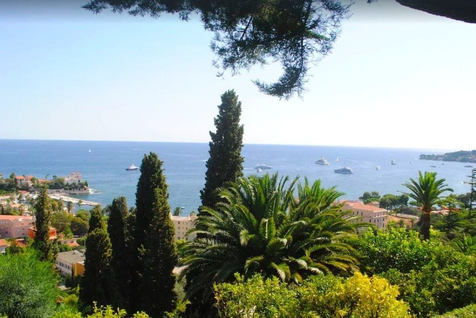 view from the garden