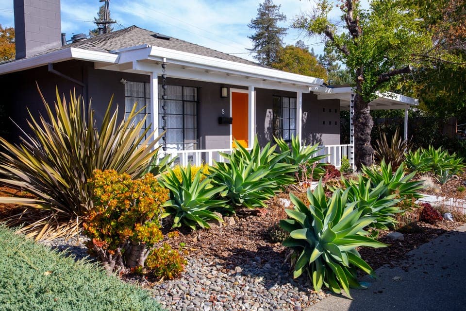 Welcome to the Tangerine House!