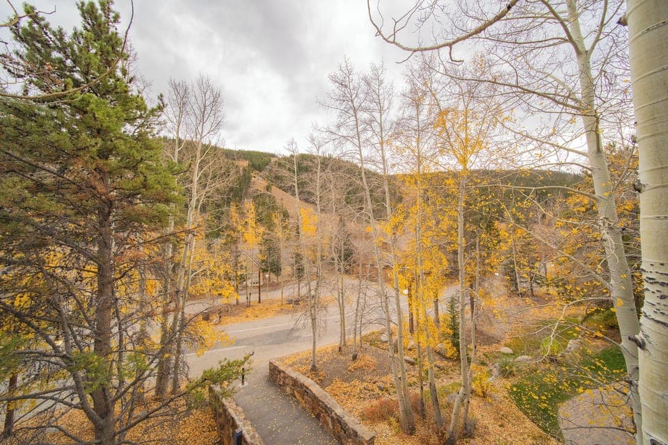 Enjoy the beautiful view! #fall