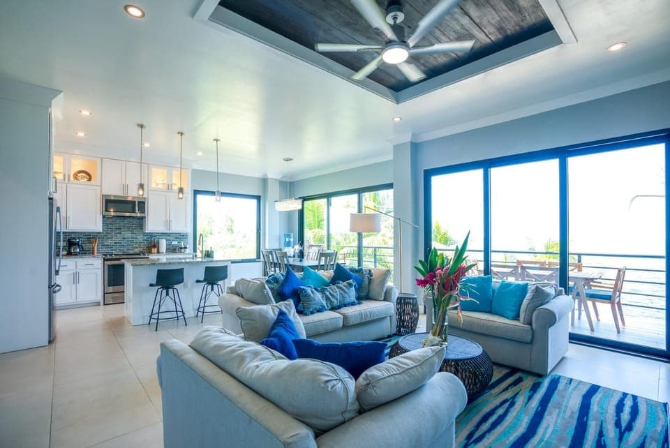 Living room couch