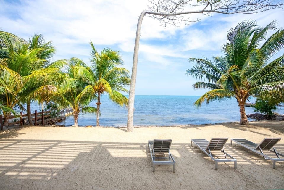 Beach sun chairs