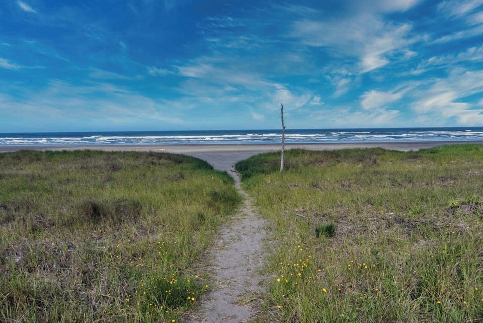 Our well kept HOA sandy path through the dunes and onto a quiet beach.