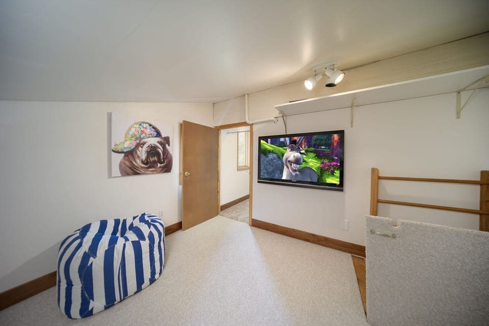 Secret kids game/tv room