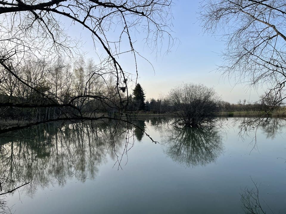 Etang privé picturesque en plein calme
