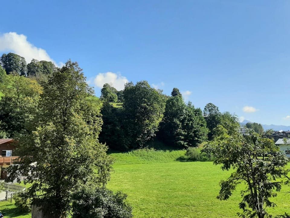 View from Holiday Home [summer]