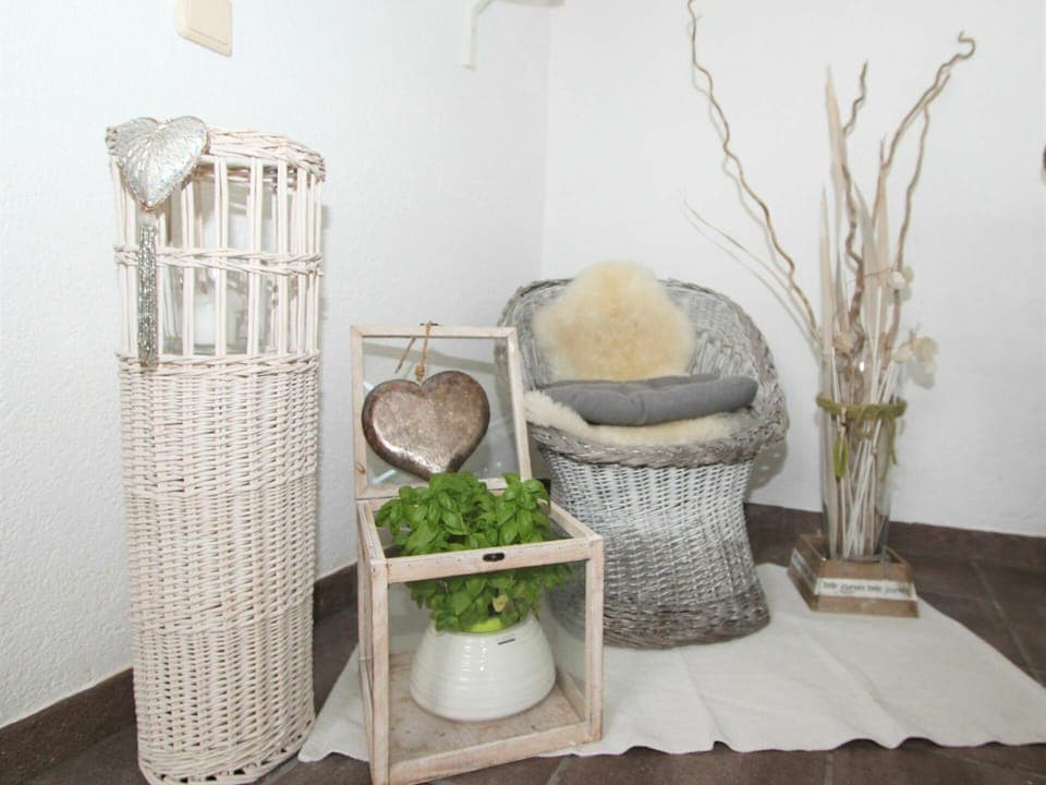 Plant, Flowerpot, Houseplant, Comfort, Wood, Grass, Floor, Terrestrial Plant, Shelf, Grass Family