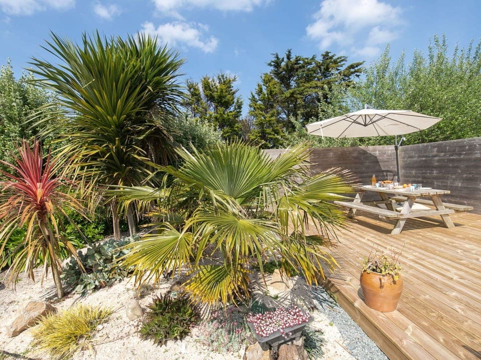 Garden, Landscaping, Eco Hotel, Flowerpot, Houseplant, Walkway, Resort