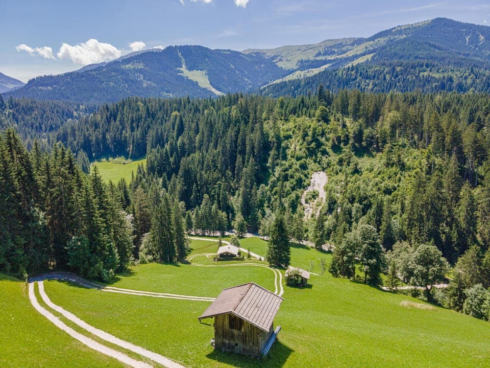 View from Holiday Home [summer]