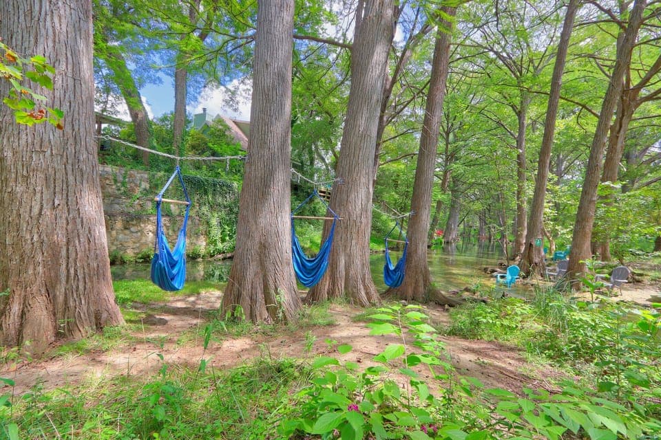 Shaded hammocks to relax by the water