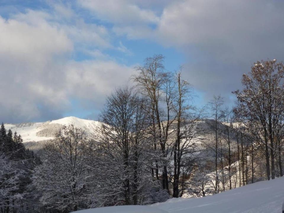 Region [winter] (>5 km)