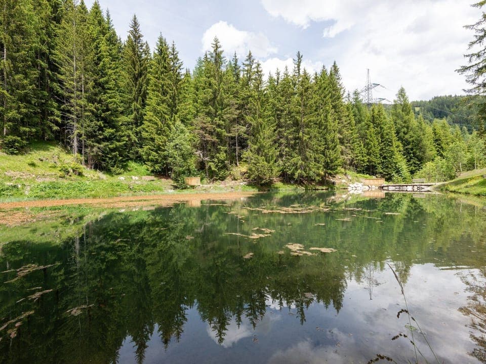 Immediate Surroundings [summer] (<1 km)