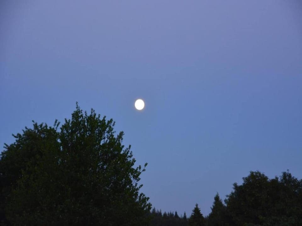 Region [summer] (>5 km)